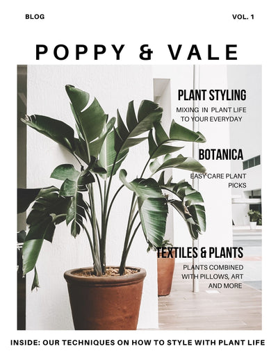 Our Plant Styling Guide